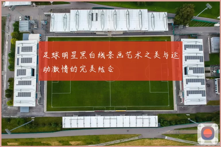 足球明星黑白线条画艺术之美与运动激情的完美结合