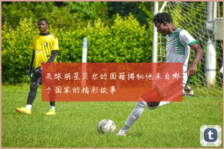 足球明星贝尔的国籍揭秘他来自哪个国家的精彩故事
