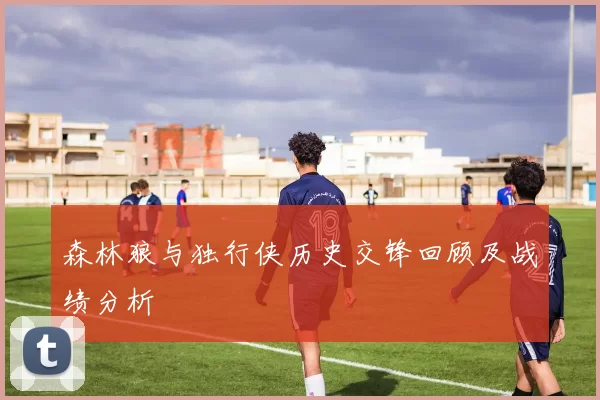 森林狼与独行侠历史交锋回顾及战绩分析