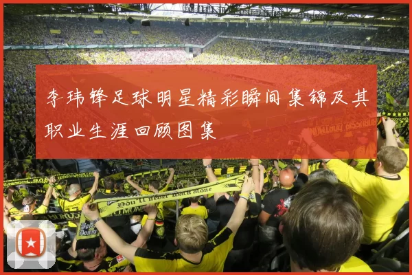 李玮锋足球明星精彩瞬间集锦及其职业生涯回顾图集