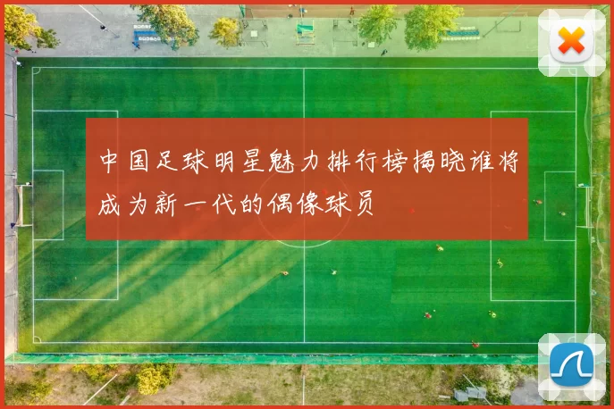 中国足球明星魅力排行榜揭晓谁将成为新一代的偶像球员