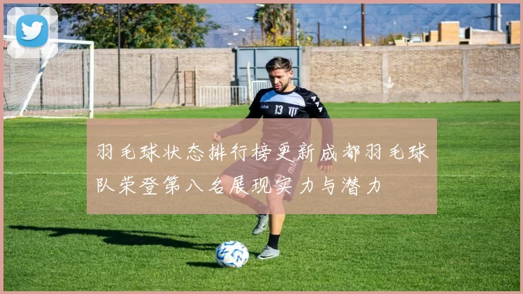 羽毛球状态排行榜更新成都羽毛球队荣登第八名展现实力与潜力