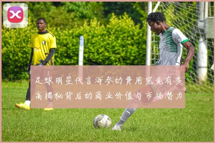足球明星代言海参的费用究竟有多高揭秘背后的商业价值与市场潜力