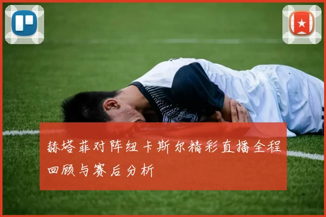 赫塔菲对阵纽卡斯尔精彩直播全程回顾与赛后分析