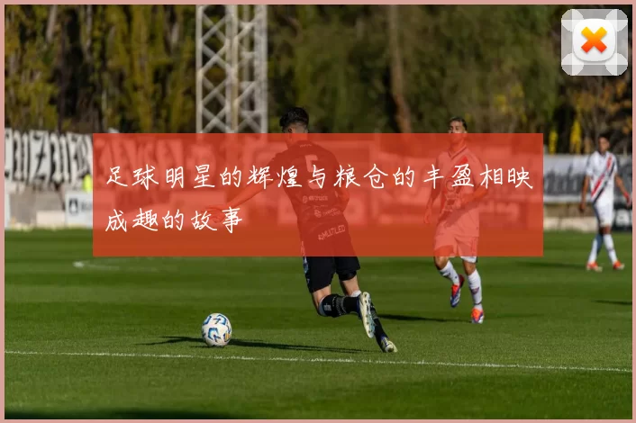 足球明星的辉煌与粮仓的丰盈相映成趣的故事