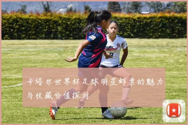 卡塔尔世界杯足球明星邮票的魅力与收藏价值探讨