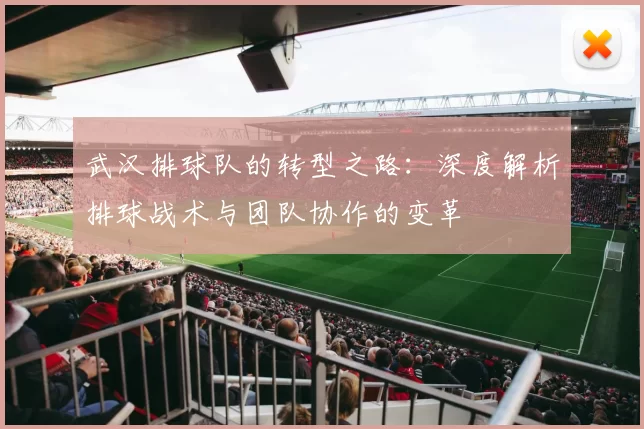 武汉排球队的转型之路：深度解析排球战术与团队协作的变革