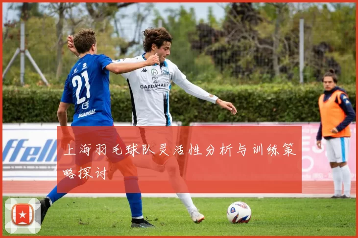 上海羽毛球队灵活性分析与训练策略探讨