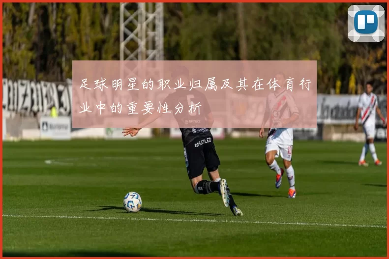 足球明星的职业归属及其在体育行业中的重要性分析