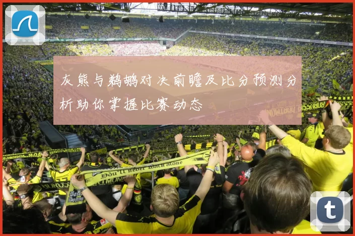 灰熊与鹈鹕对决前瞻及比分预测分析助你掌握比赛动态