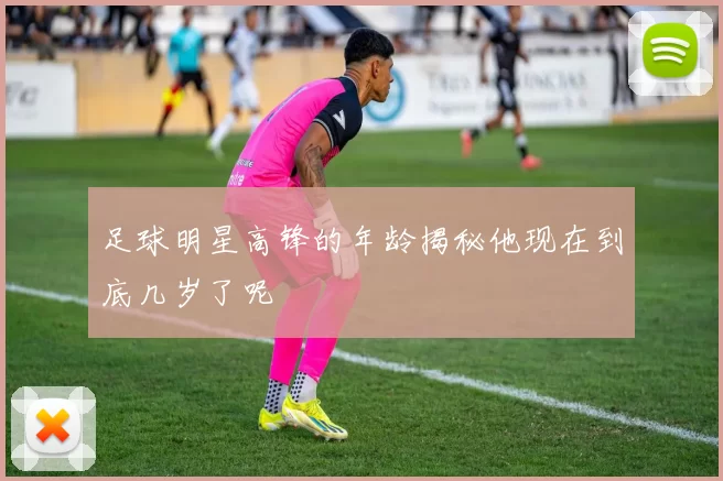 足球明星高锋的年龄揭秘他现在到底几岁了呢